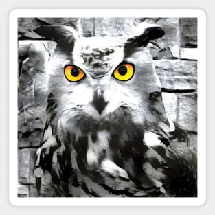 Owl Black and White Spray Paint Wall Magnet